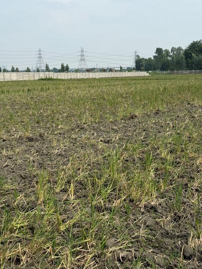 Noida sector 148 Main Image 1