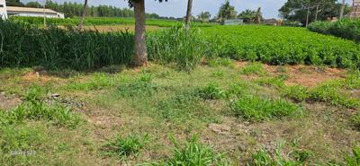 Nava bengaluru housing socity Plot View 2