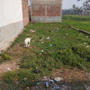 Image of 1702 Sq.ft Residential Plot / Land for sale in Danapur - Khagaul Road, Patna for Rs. 5200000
