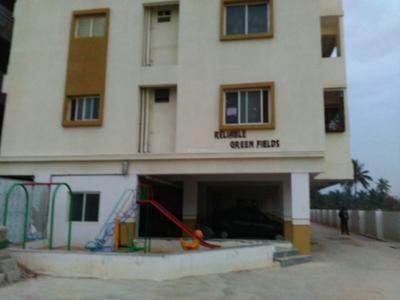 3 BHK Flat