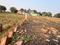 Hanuman Nagar Main Image 1