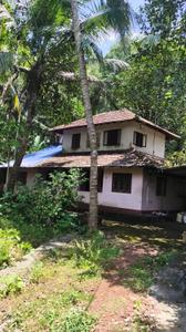 Image of 1000 Sq.ft 3 BHK Independent House for rent in Poovattuparamba, Kozhikode for Rs. 6000