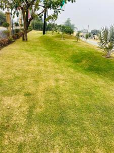Image of 1000 Sq.ft Residential Plot / Land for sale in Valencia Greens, Bhicholi Mardana, Indore for Rs. 8000000