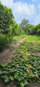 Image of 1008 Sq.ft Residential Plot / Land for sale in Sector 135, Noida for Rs. 9000000