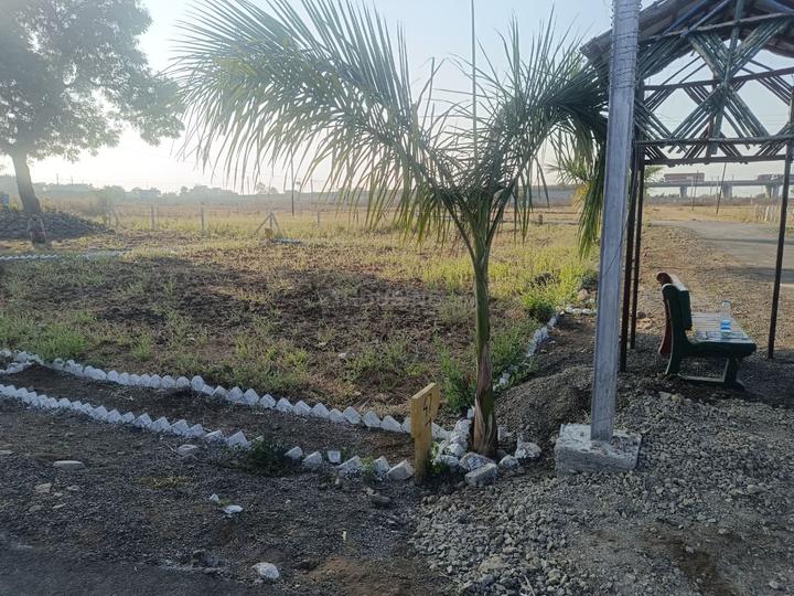 Borkhedi More Images 1