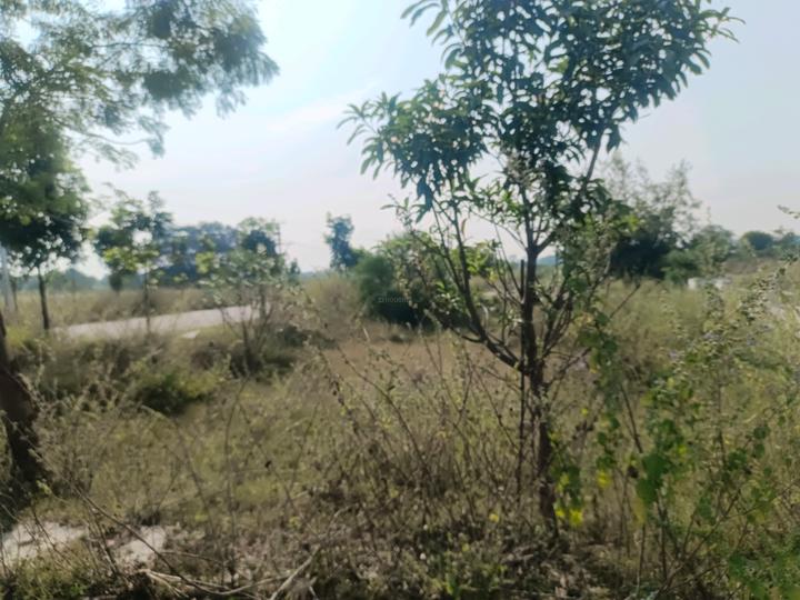 Devender Colony Plot View 1