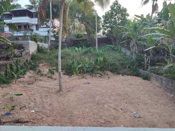 Chalai Bazaar, Chalai Main Image 1