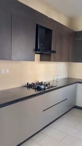 Kitchen Image of 2150 Sq.ft 4 BHK Apartment / Flat for rent in Sobha City, Sector 108 Gurgaon for Rs. 99000