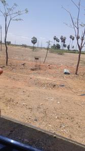 Image of 2371 Sq.ft Residential Plot / Land for sale in NGO Colony, Tirunelveli for Rs. 8700000