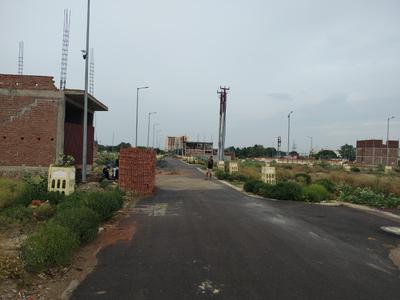 Sector 12 Plot View 2