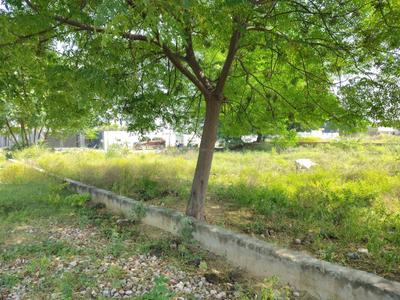 Image of 125 Sq.ft Residential Plot / Land for sale in Bhanauta, Greater Noida for Rs. 4375200