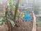 Kulshekar Plot View 2