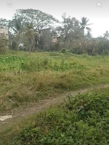 Image of 1295 Sq.ft Residential Plot / Land for sale in Thakuranir Chak, Kolkata for Rs. 2500000