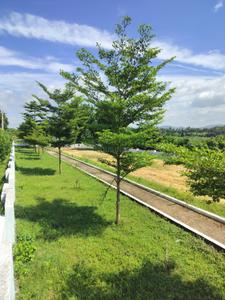 Image of 1350 Sq.ft Residential Plot / Land for sale in Bhogapuram, Vizianagaram for Rs. 2900000
