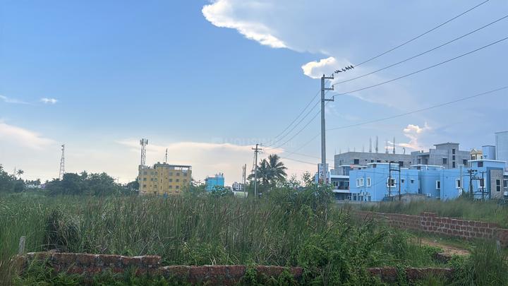 Hansapal Main Image 1