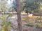 Srujan Plot View 2
