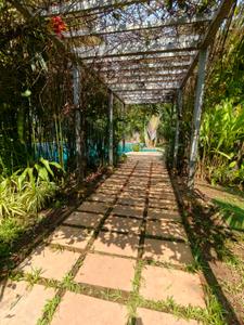 Image of 1800 Sq.ft 2 BHK Penthouse for sale in Assagao, Goa for Rs. 32000000