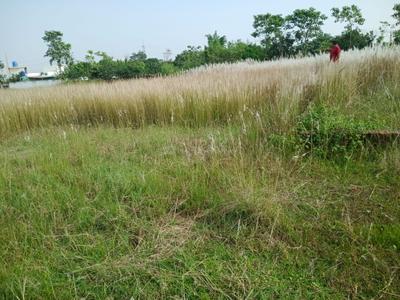 Image of 3000 Sq.ft Residential Plot / Land for sale in Barhu, Ranchi for Rs. 3800000