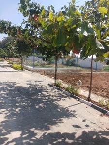 Image of 1200 Sq.ft Residential Plot / Land for sale in Chokkondahalli, Kolar for Rs. 2800000