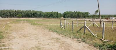 Image of 900 Sq.ft Residential Plot / Land for sale in Sunderpur, Saharanpur for Rs. 1500000