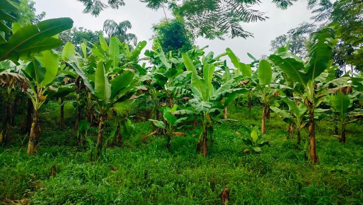 Keralarealty Main Image 1