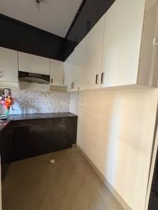 Kitchen Image of 842 Sq.ft 2 BHK Apartment / Flat for rent in Anthem French Apartments, Noida Extension Greater Noida for Rs. 20000
