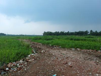 Nest Valley Plot View 2