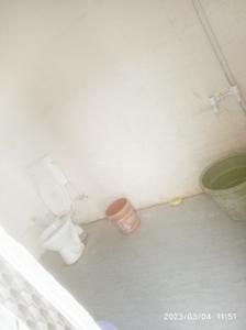 Bathroom Image of 300 Sq.ft 1 RK Builder Floor for rent in Rajrooppur Allahabad for Rs. 3800