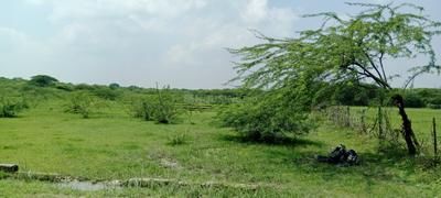 Image of 3640 Sq.ft Residential Plot / Land for sale in Kursi Road, Lucknow for Rs. 4368000