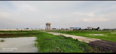 The sai green Plot View 2