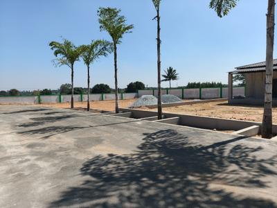 Lux Golden Valley Plot View 3
