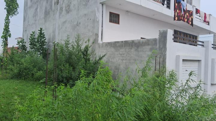 Society  Main Image 1