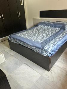 Bedroom Image of 1201 Sq.ft 2.5 BHK Apartment / Flat for rent in Mahim Mumbai for Rs. 150000