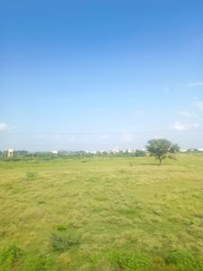 Residential Plot