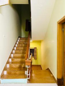 Image of 3100 Sq.ft 3 BHK Independent House for rent in Velachery, Chennai for Rs. 75000