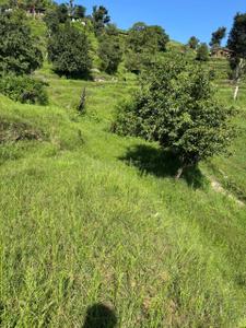 Image of 10000 Sq.ft Residential Plot / Land for sale in  Burans, Mukteshwar, Nainital for Rs. 2200000