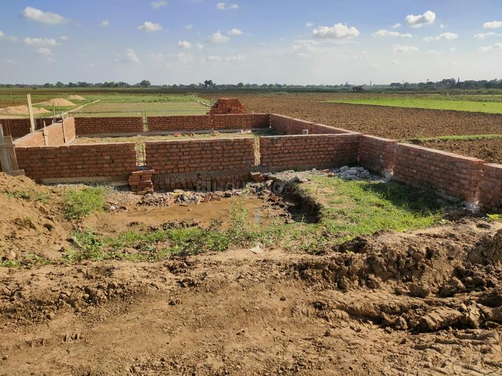 Bihta Main Image 1