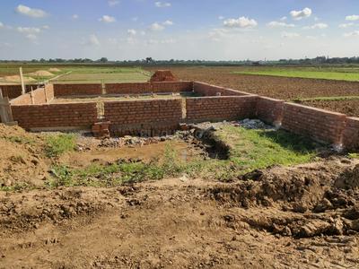 Bihta Plot View 1