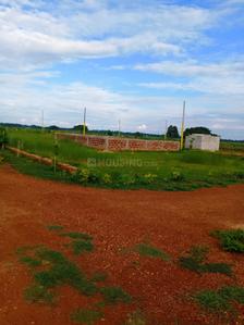 Sundarpada Plot View 2