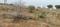 Jagatpura Plot View 2