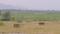 The horizon mall Main Image 1