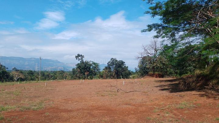 Riverine Main Image 1