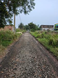 Wander Valley Internal Roads 1