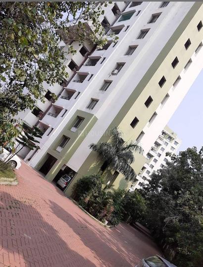 Amar Ornate Main Image 1