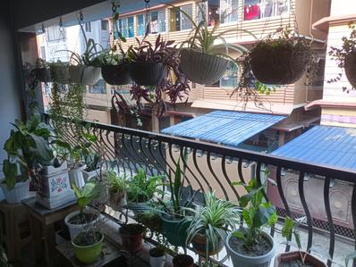 Balcony Image of 2150 Sq.ft 4 BHK Apartment / Flat for sale in Maligaon Guwahati for Rs. 18000000