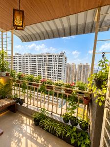 Balcony Image of 830 Sq.ft 2.5 BHK Apartment / Flat for sale in Bhalchandra Upvan, Punawale Pune for Rs. 9800000
