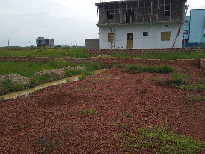 Tamando Main Image 1