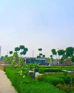 Image of 144 Sq.ft Residential Plot / Land for sale in JMS The Pearl, Sector 95, Gurgaon for Rs. 23800000