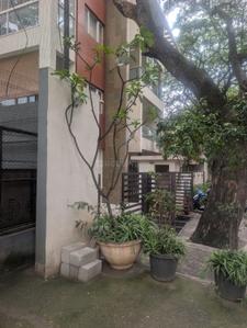 Image of 8000 Sq.ft Residential Plot / Land for sale in Indira Nagar, Bengaluru for Rs. 120000000