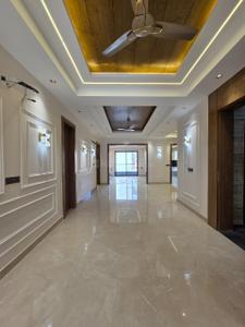 Hall Image of 2430 Sq.ft 4 BHK Builder Floor for sale in Sector 49 Gurgaon for Rs. 34000000